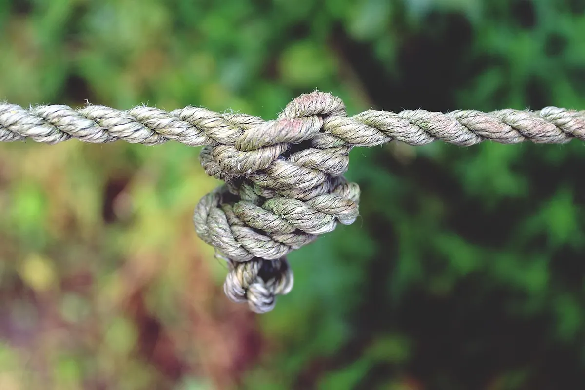 How to Tie a Falconer's Knot and Other Essential Falconry Knots